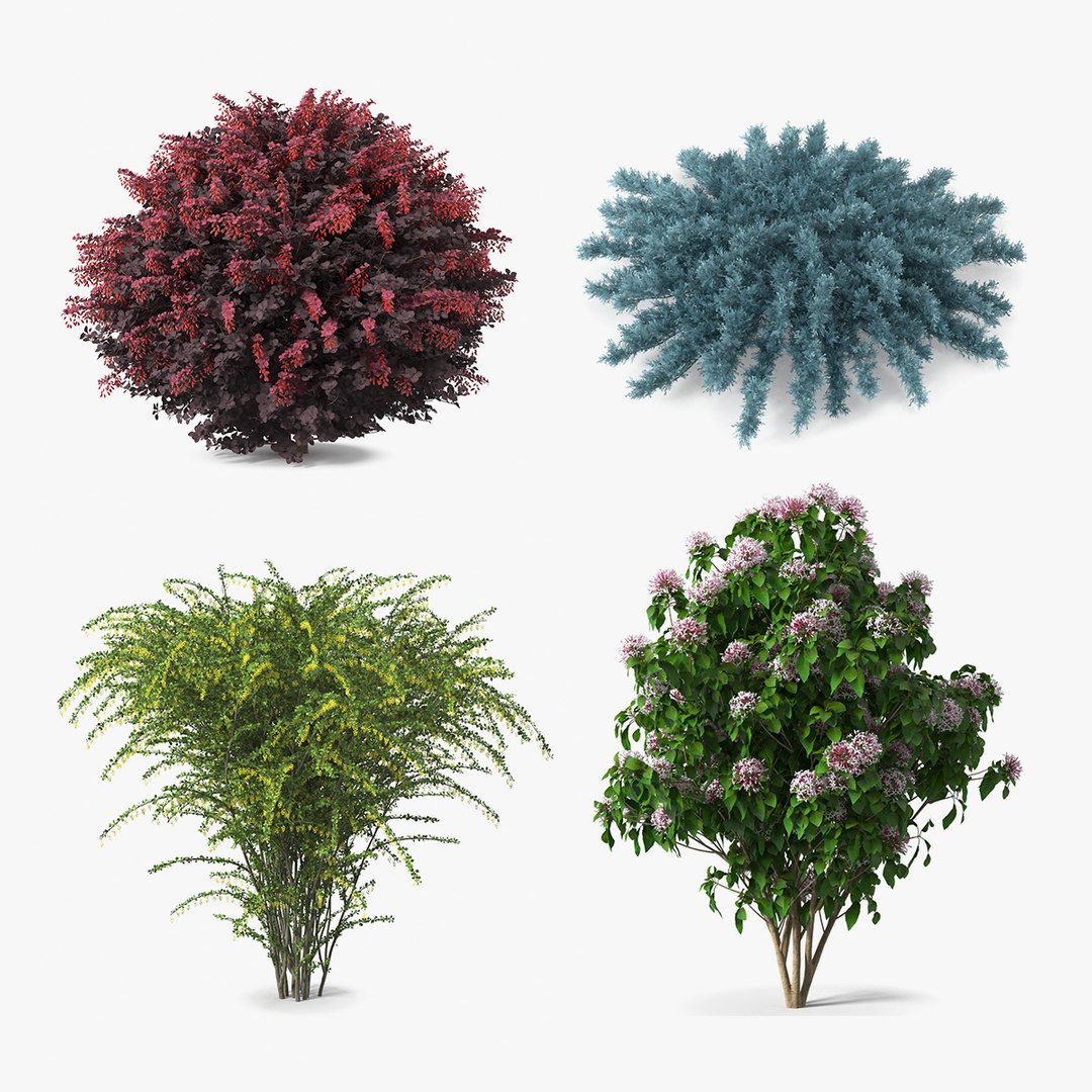 Bushes Collection 3 3D model preview