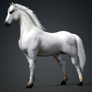 Horse-A5 3D model