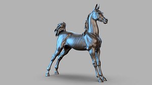 Arab Foal horse I 3D Sculpting