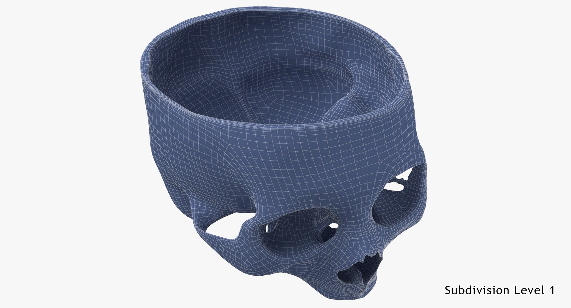 3D Model Human Skull Cranial 02 - TurboSquid 1542114
