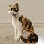 3D Cat Calico Rigged Animated model