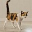 3D Cat Calico Rigged Animated model