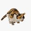 3D Cat Calico Rigged Animated model