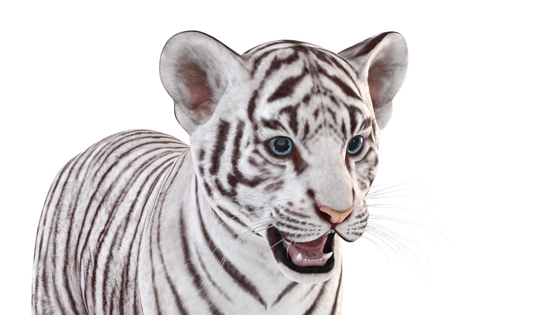 7,791 Cute White Tiger Cub Images, Stock Photos, 3D objects, & Vectors