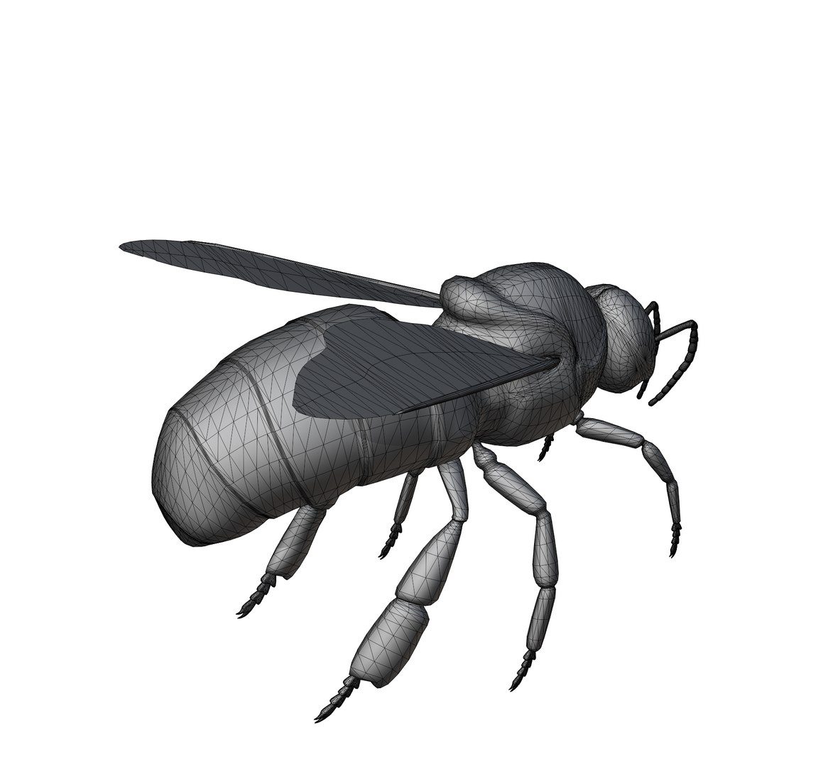 3D Model Animation Drone Bee - TurboSquid 2082358