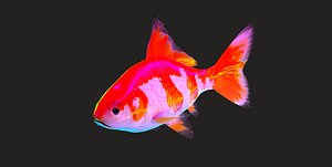 3d model rigged goldfish normal displacement