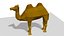 camel desert