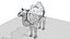 camel desert