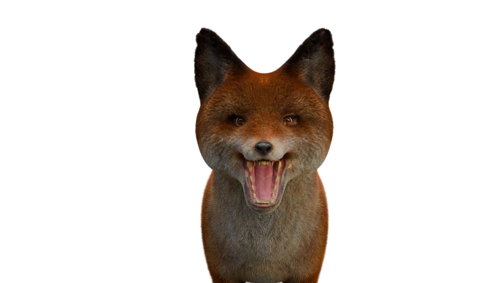 Ultra-Realistic Fox 3D Model High-Poly Low-Poly Ready 3D - TurboSquid ...