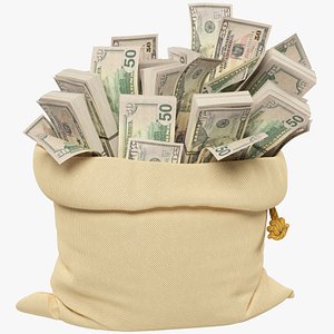 3D Money Bag V9 model
