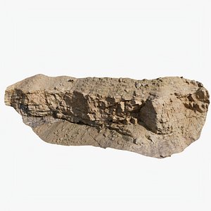 3D Sharp Cliff Scanned StemCell