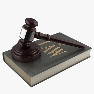 3D gavel law book