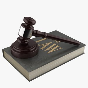 Gavel and Law Book