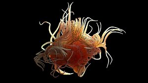 Evil Cell Organism Bacteria