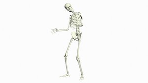 3D Skeleton Rigged 3D Animations Set 3 - 25 in 1 model