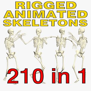3D Skeleton Rigged 3D Animations Set 3 - 25 in 1 model
