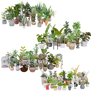 Low Poly Plants Pack 3D model