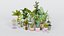 Pacchetto di piante low poly