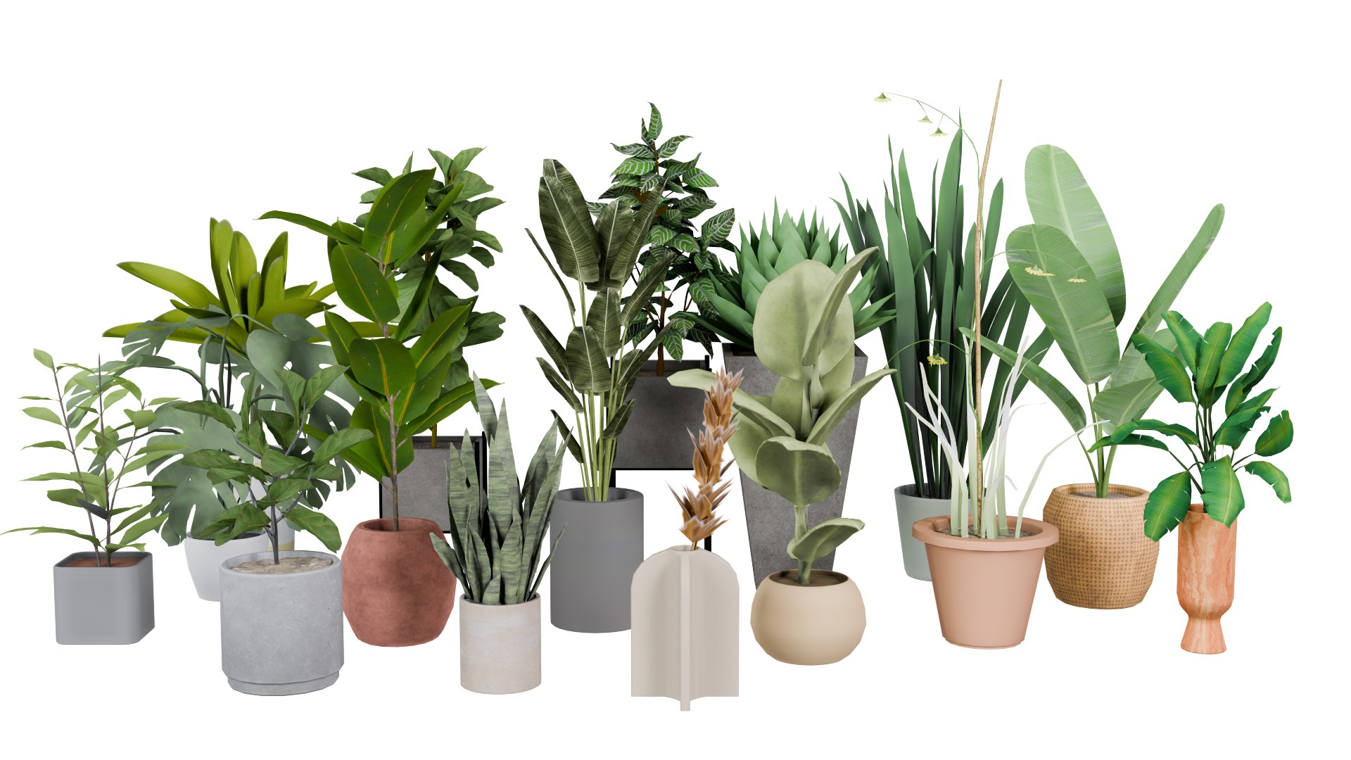 Low Poly Plants Pack 3D model https://p.turbosquid.com/ts-thumb/LN/tBfqEi/p3/plants1whitebg/png/1775900559/1920x1080/fit_q87/4e0263fd54525651803ede86c065993a4d9385bd/plants1whitebg.jpg