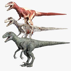 Velociraptor Anatomy 3D