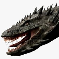 Fantasy Dragon Monster