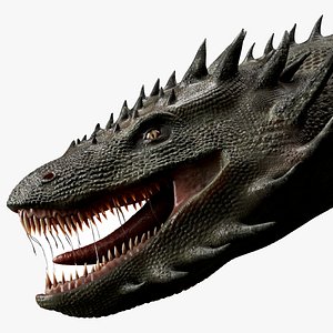 Fantasy Dragon Monster