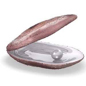 shell9 - pearloyster