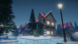 Winter House