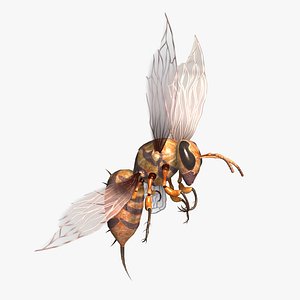 Animated bee
