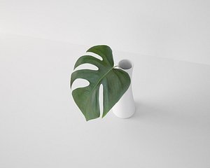 3D monstera leaf