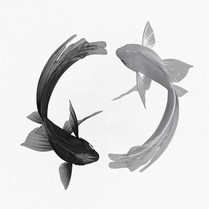 Yin Yang Black White model