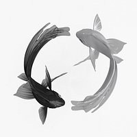 Yin Yang Black White