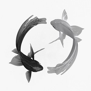 Yin Yang Black White