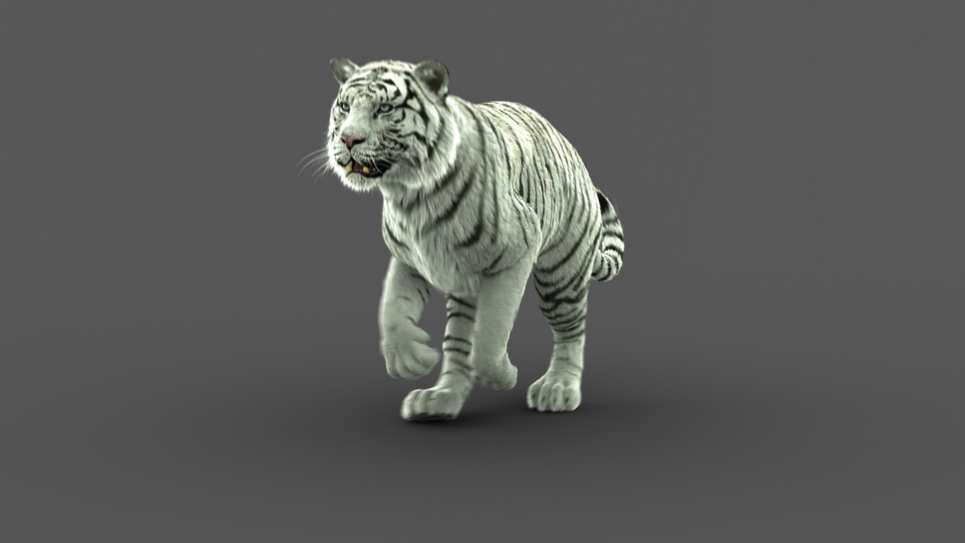 Tiger Animation Fur 3D Model - TurboSquid 1440138