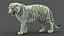 tiger animation fur 3D model