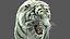 tiger animation fur 3D model