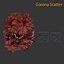 Coleção de ativos Low Poly Garden vol 216