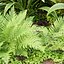 Coleção de ativos Low Poly Garden vol 216