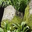Coleção de ativos Low Poly Garden vol 216