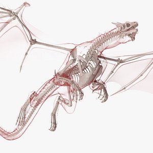 Flying Pose Dragon Skeleton in Transparent Shell 3D model