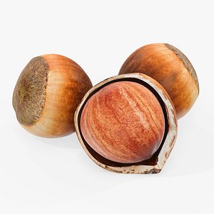Hazelnuts 01