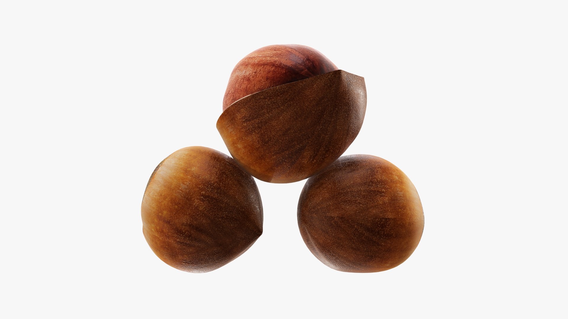 Hazelnut Nut Model - TurboSquid 1621702