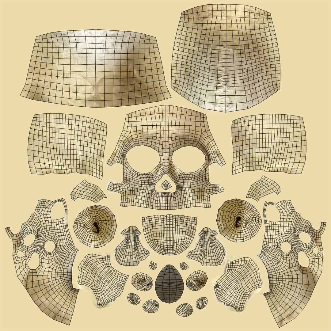 3d model skeleton rigged body bone https://p.turbosquid.com/ts-thumb/LP/WF8etp/BCFIspJ0/uv_skull/jpg/1423763508/1920x1080/fit_q87/c5adf2a006520eb937c441cda770c0ac7e291a92/uv_skull.jpg