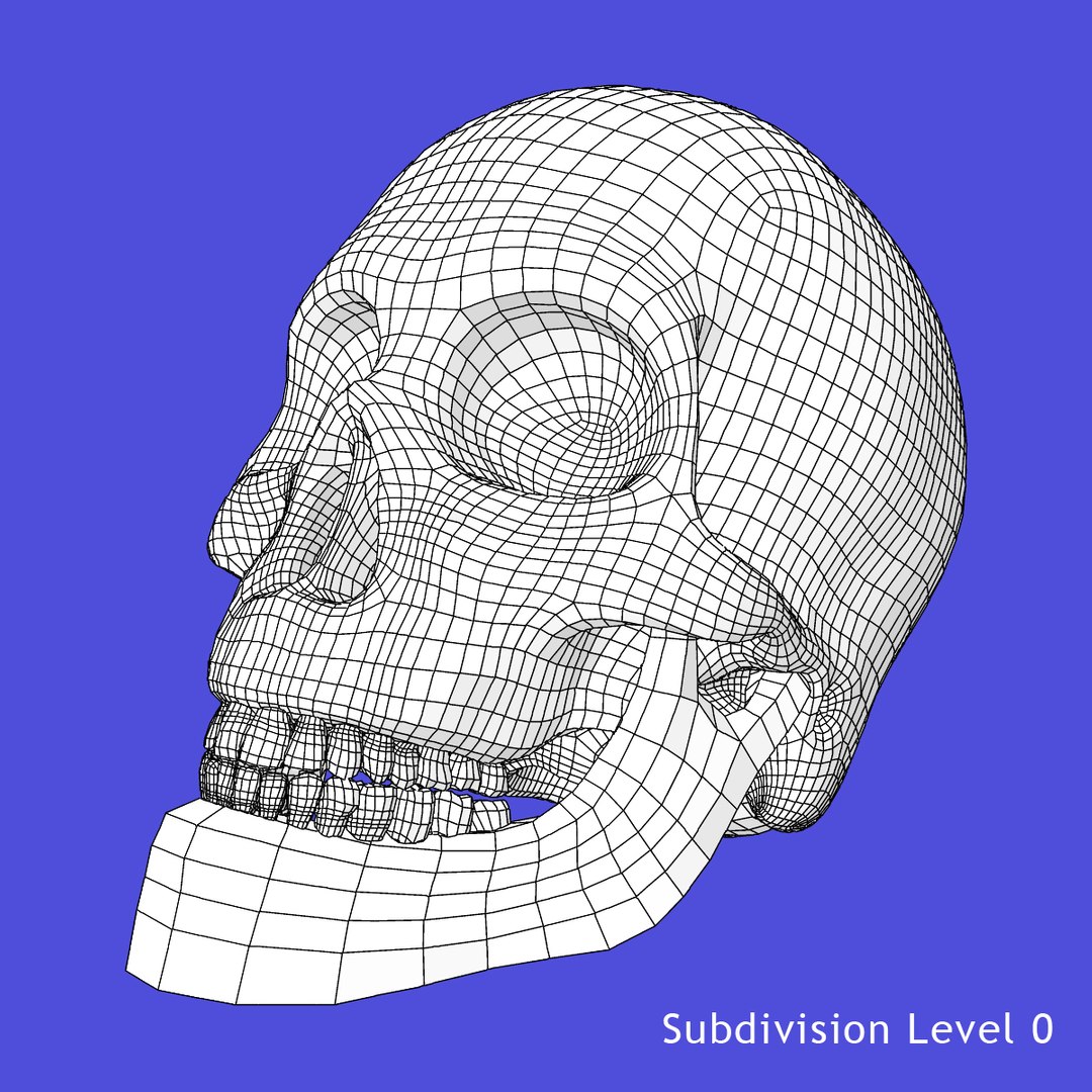 3d model skeleton rigged body bone https://p.turbosquid.com/ts-thumb/LP/WF8etp/DaF7nGWG/w1/jpg/1423763311/1920x1080/fit_q87/c3b615ea37591246a6e3f288e7a3c8a227438d2e/w1.jpg