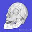 Skeleton Rigged