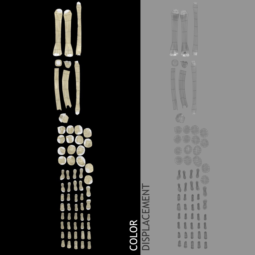 3d model skeleton rigged body bone https://p.turbosquid.com/ts-thumb/LP/WF8etp/FLYBTKAS/00008/jpg/1423763427/1920x1080/fit_q87/f40d2e46de5f131443ef6dce7ac234cce8d7886c/00008.jpg