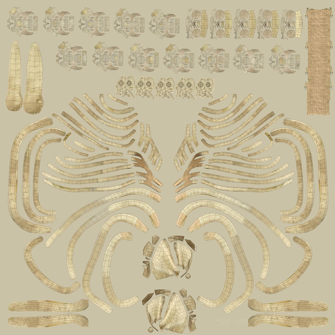 3d model skeleton rigged body bone https://p.turbosquid.com/ts-thumb/LP/WF8etp/LLLmuCSv/uv_d/jpg/1423762340/1920x1080/fit_q87/257c8c68acc97c4c87a4d0602a43539b99884e31/uv_d.jpg