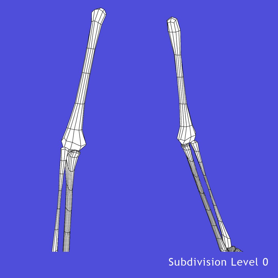 3d model skeleton rigged body bone https://p.turbosquid.com/ts-thumb/LP/WF8etp/TljadHdh/g/jpg/1423763406/1920x1080/fit_q87/30dcda307ec31be4a812768dd614ffe8d84e8b86/g.jpg