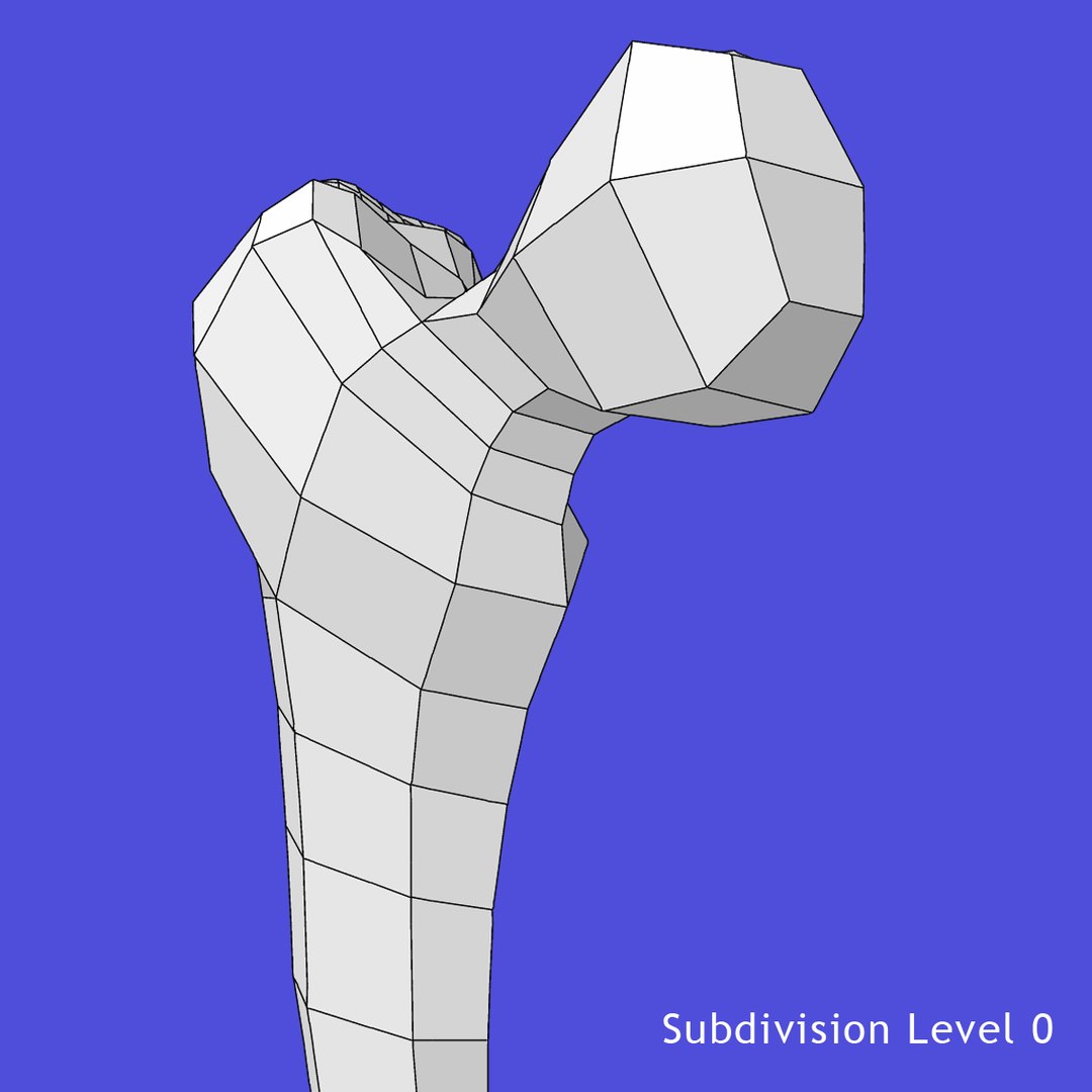 3d model skeleton rigged body bone https://p.turbosquid.com/ts-thumb/LP/WF8etp/XQzVUXSe/w5/jpg/1423763362/1920x1080/fit_q87/587ffe6a22bfb34e93b22e7522841eb2c4c1f0db/w5.jpg
