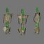 Skeleton Rigged